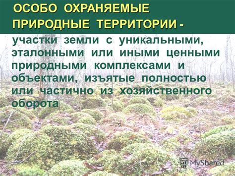 Специализированные участки для поиска с ценными природными материалами