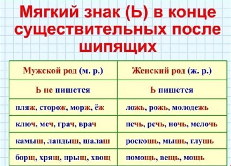 Список существительных с шипящими и ь знаком