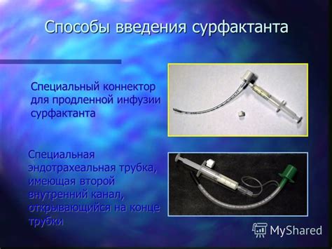 Способы инфузии косточек греков