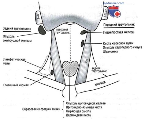 Способы удаления нежелательных образований на шее