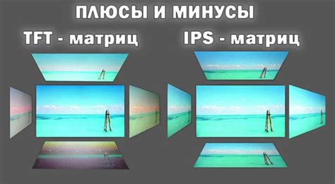 Сравнение двух типов экранов для телевизоров: разница между TFT и IPS