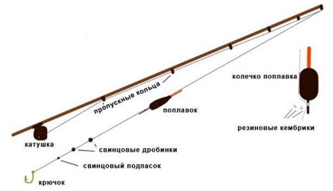 Сравнение различных методов ловли сазана: поплавочная, донная и спиннинговая