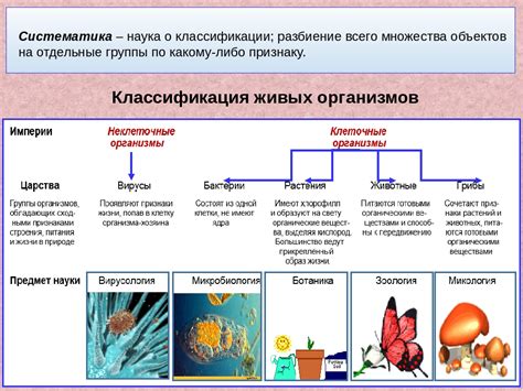 Сравнительный подход в систематике: анализ и классификация разнообразия живых организмов