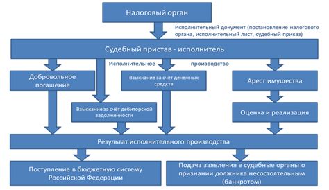 Сроки и штрафы за просрочку уплаты налоговых сборов