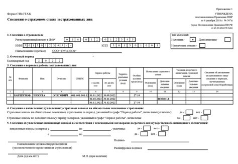 Сроки сдачи СЗВ стаж отчета