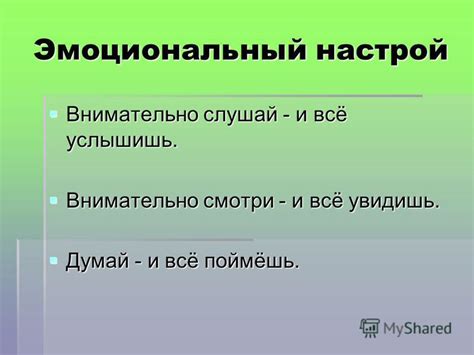 Стилистика, отражающая эмоциональный настрой в песнях коллектива