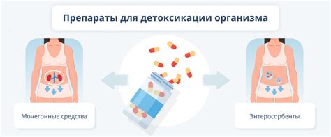 Стимуляция выведения токсинов через мочеиспускание