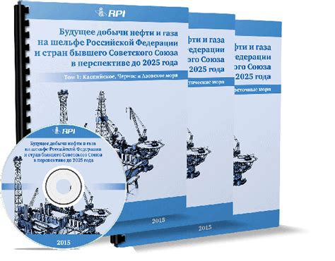 Стратегии и проблемы оптимизации процесса добычи нефти в Российской Федерации