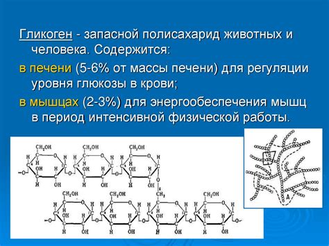 Структура гликогена: рассмотрение полисахаридного соединения