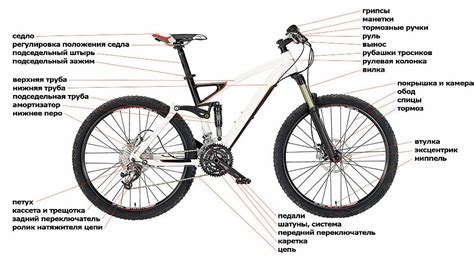 Структура и компоненты женского велосипеда