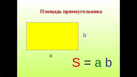 Структура и размеры квадрата