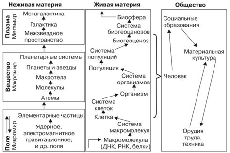 Структура и свойства материи