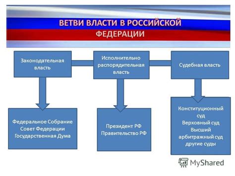 Структура и уровни власти: ключевые отличия