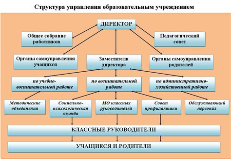 Структура начальной и основной школы