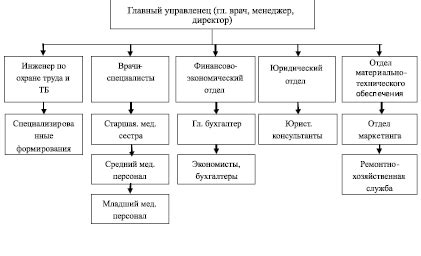 Структура программ и выбор специальностей в ведущих учебных заведениях медицинского профиля