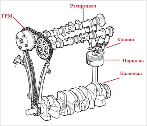 Структура распределительного вала