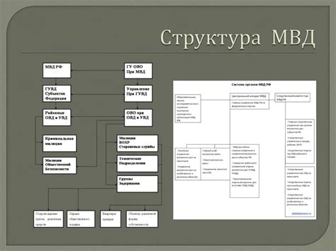 Структурная организация МВД РФ: основные элементы и их функции