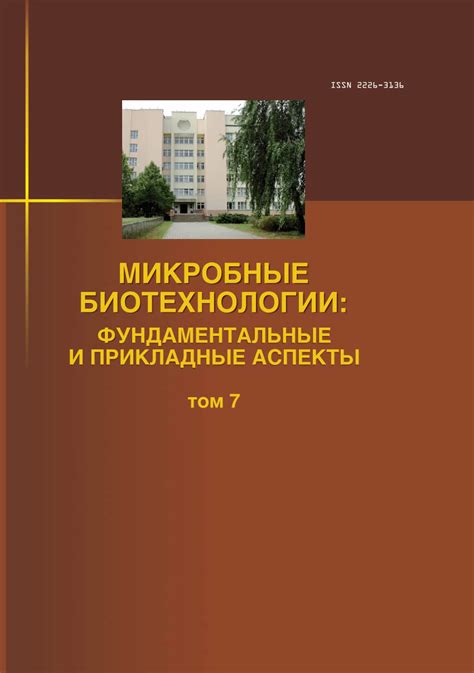 Структурные составляющие и слоистость пенистого образования гриба