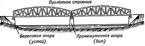 Структуры и расположение Варолиева моста: основные элементы