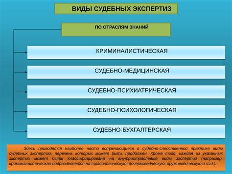 Судебная экспертиза и консультирование: изучение психологической составляющей правовых вопросов