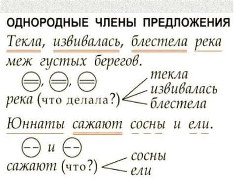 Существительные и их значимость в предложении