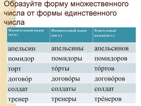 Существительные с ударением на последний слог в форме единственного числа: примеры и объяснения