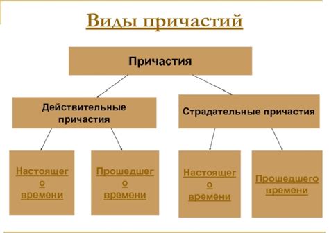 Сущностные и лингвистические различия причастий в зависимости от их вида