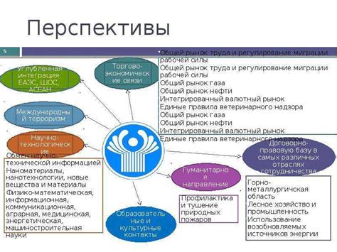 Сущность и смысл маркшейдерского дела 