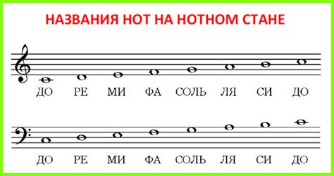 Сущность музыки: структура и взаимодействие семи основных нот