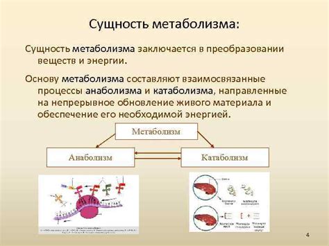 Сущность патологии глюкозного метаболизма и его последствия для организма