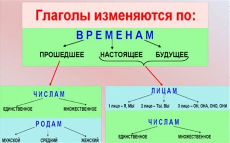 Сущность языка: изучение частей речи