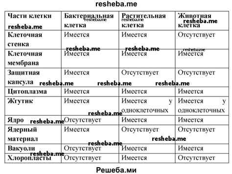 Схожести и различия в культуре и обычаях