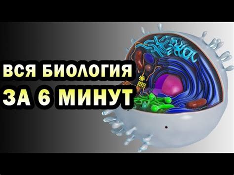 С какого возраста начинают изучать биологию в школе: