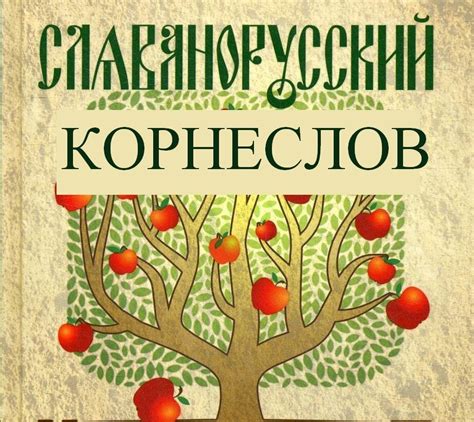 Тайные места для отыскания гранатовых корней некротических растений в граничных областях