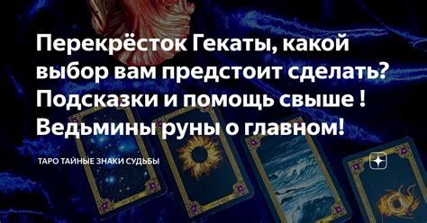 Тайные подсказки Капитана Элефантника Фруктовского о местонахождении своего тайника