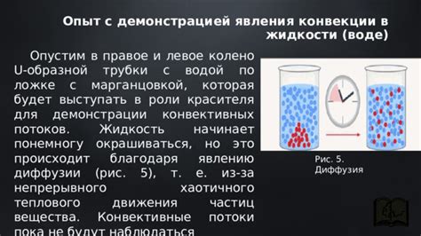 Тайны конвекции: воздушные движения и равномерность нагрева