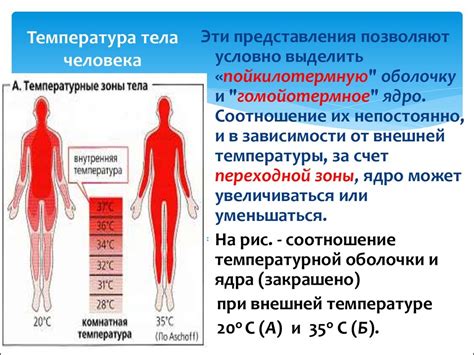 Температура как признак возможных осложнений