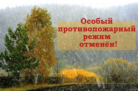 Тенденция роста популяции лисичек на территории Ленинградской области