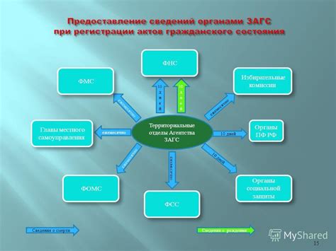 Территориальные органы ЗАГС: альтернативные варианты мест оформления развода