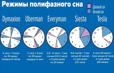 Техника многоразового отдыха: переход на полифазный сон