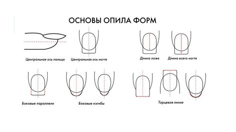 Техника нанесения эмали на искусственные пластины натуральных пальцевых ногтей