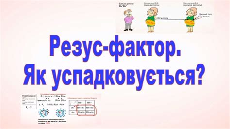 Технические трудности в процессе анализа: как избежать неправильного установления резус-фактора?