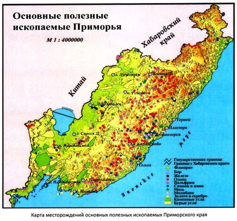 Типичные места обитания приморского кустарника гребенчатого ежевика