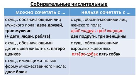 Типичные ошибки в акцентировании слова шарфы и способы их устранения