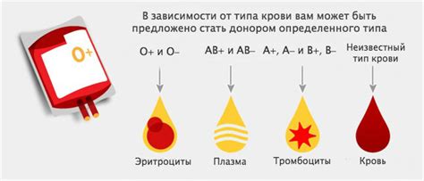 Типы донорства крови: что выбрать и что необходимо узнать