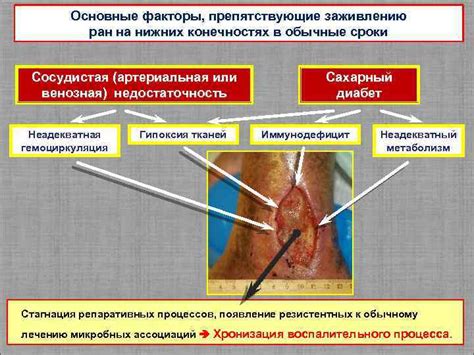 Традиционные практики в лечении ран на нижних конечностях