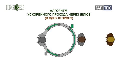 Требования и ограничения при применении ускоренного прохода через контроль на границе