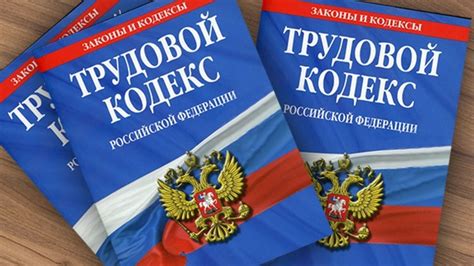 Трудовой кодекс РФ: основные принципы и нормы