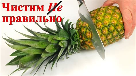 Трюки и советы для сохранения свежести и вкуса груш