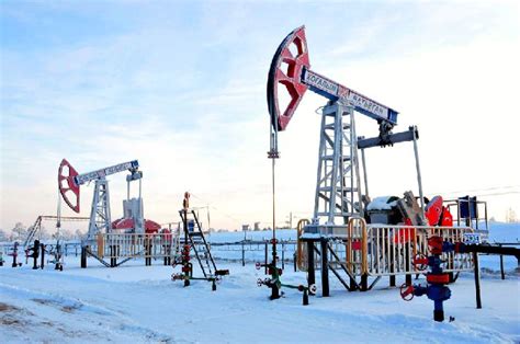 Тюменская область: значимый регион для добычи нефти в западной части Сибири